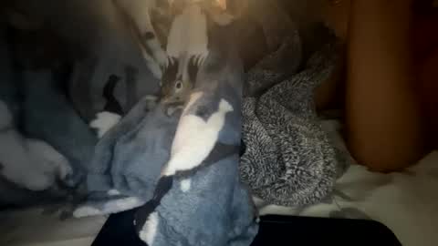 Snapshot of roarmance1 chatting on October 30, 2025, 5:35 pm roarmance1 online show from October 30, 2025, 5:35 pm