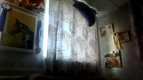 rob18997 online show from November 16, 2025, 10:54 am