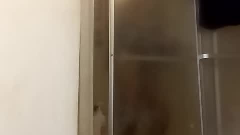 Snapshot of robertsaiz4200 chatting on November 24, 2025, 11:15 pm robertsaiz4200 online show from November 24, 2025, 11:15 pm