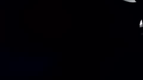 R online show from November 14, 2025, 10:58 am