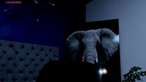 Snapshot of rocco_santos chatting on September 17, 2025, 8:27 am rocco_santos online show from September 17, 2025, 8:27 am