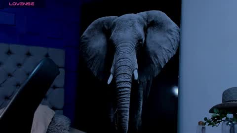 Snapshot of rocco_santos chatting on September 19, 2025, 7:10 am rocco_santos online show from September 19, 2025, 7:10 am