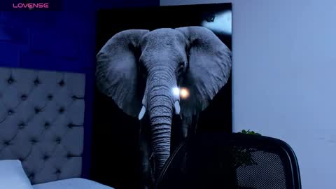 Snapshot of rocco_santos chatting on September 26, 2025, 7:23 am rocco_santos online show from September 26, 2025, 7:23 am