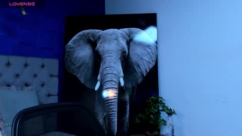 Snapshot of rocco_santos chatting on September 28, 2025, 3:12 am rocco_santos online show from September 28, 2025, 3:12 am