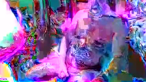 rocky082288 online show from December 8, 2024, 12:41 pm