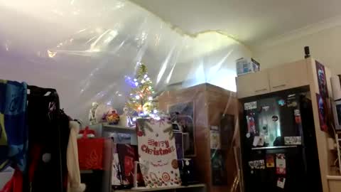 rod77knee online show from December 23, 2024, 2:13 am
