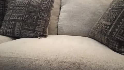 roger59267 online show from October 31, 2025, 7:59 pm