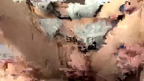 roidrager44 online show from March 6, 2025, 3:45 pm