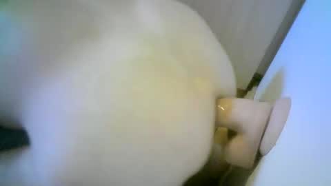 romson998181 online show from November 1, 2025, 8:27 am