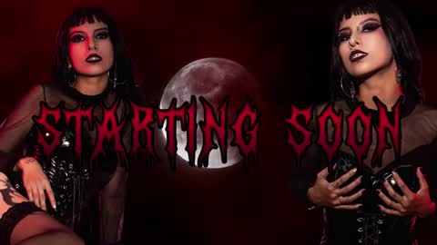 Snapshot of rose_72 chatting on March 8, 2026, 6:44 pm Ally online show from March 8, 2026, 6:44 pm