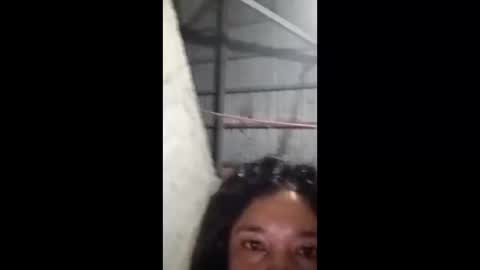 rose_marie2025 online show from February 5, 2026, 3:49 pm