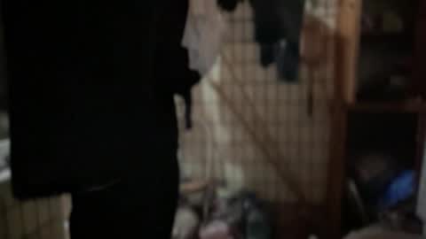 Rose and the Collector online show from September 20, 2025, 6:53 pm