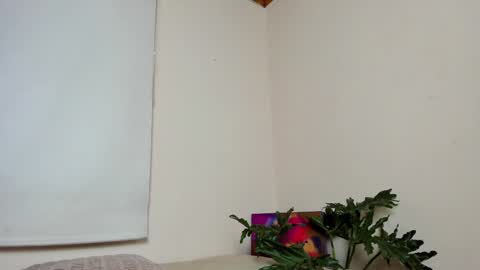 Lyla OF roselinedior online show from December 22, 2024, 4:17 pm