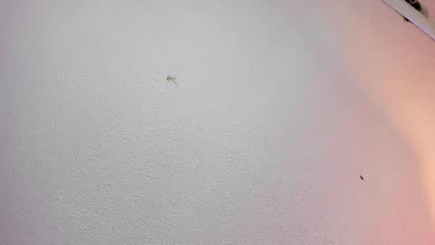 Snapshot of rosie_jhons chatting on February 2, 2025, 3:21 am rosie_jhons online show from February 2, 2025, 3:21 am