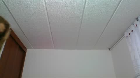 Snapshot of rossanalionheart chatting on December 30, 2024, 10:23 pm Rossana  online show from December 30, 2024, 10:23 pm