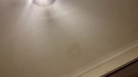 Snapshot of rossival1989 chatting on November 1, 2025, 7:49 pm rossival1989 online show from November 1, 2025, 7:49 pm