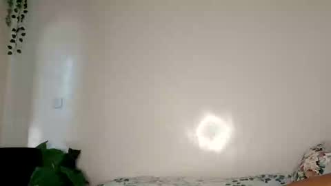 roundbootie online show from April 26, 2026, 11:08 am