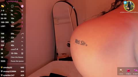 Snapshot of rouse_hallberg_ chatting on December 31, 2024, 4:06 am DREAM online show from December 31, 2024, 4:06 am