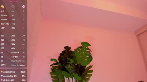 Snapshot of rouse_hallberg_ chatting on January 4, 2025, 2:46 am DREAM online show from January 4, 2025, 2:46 am