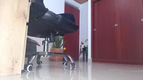 Rouse online show from March 26, 2026, 1:55 am