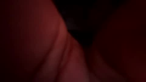 Royal SF online show from December 15, 2024, 9:24 am