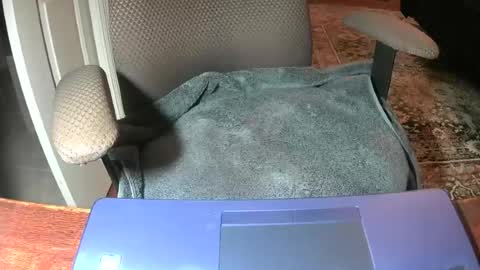 Snapshot of royer8650 chatting on June 22, 2026, 8:55 am Lookingaround online show from June 22, 2026, 8:55 am
