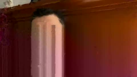 Snapshot of roypas3 chatting on October 27, 2025, 4:27 am roypas3 online show from October 27, 2025, 4:27 am