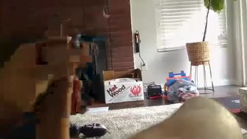 Snapshot of ryanbobby88 chatting on September 27, 2025, 12:48 am ryanbobby88 online show from September 27, 2025, 12:48 am