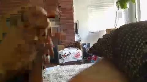 Snapshot of ryanbobby88 chatting on September 28, 2025, 11:21 pm ryanbobby88 online show from September 28, 2025, 11:21 pm