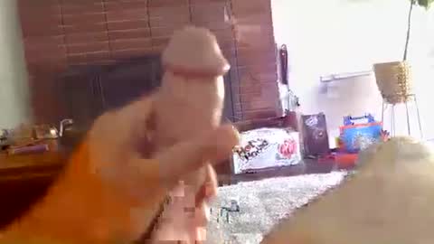 Snapshot of ryanbobby88 chatting on October 16, 2025, 9:27 pm ryanbobby88 online show from October 16, 2025, 9:27 pm