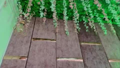 rynka online show from February 15, 2026, 7:51 am