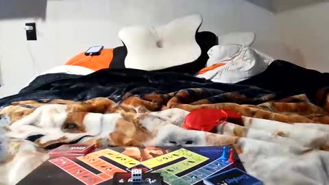 RyTracey2024 online show from January 14, 2025, 8:37 pm