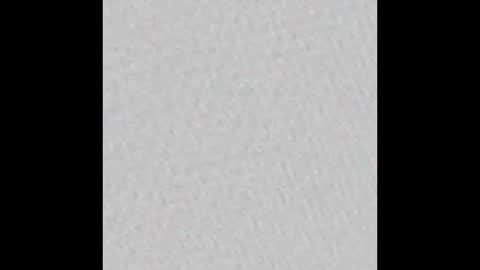 RegSav24 online show from February 5, 2026, 4:55 pm