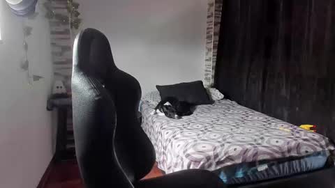 Snapshot of saad__man chatting on November 2, 2025, 2:19 pm Danny online show from November 2, 2025, 2:19 pm