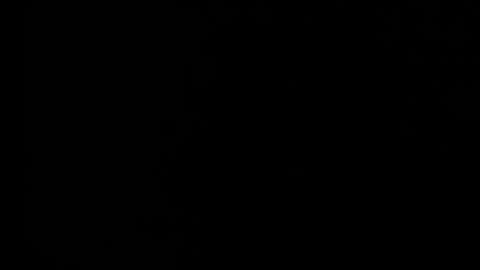 sabrina81_ online show from February 25, 2026, 10:30 pm