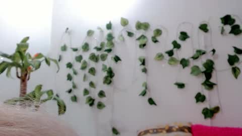 Snapshot of sabrinaexpositoxx chatting on September 25, 2025, 5:11 am SABRI online show from September 25, 2025, 5:11 am