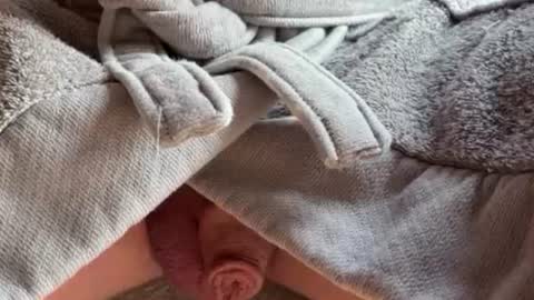 Snapshot of saconuts chatting on February 13, 2026, 8:54 am saconuts online show from February 13, 2026, 8:54 am