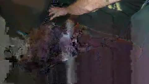 saige5558 online show from December 22, 2025, 7:22 pm