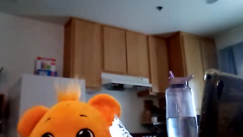 salis1981 online show from February 19, 2026, 12:39 am