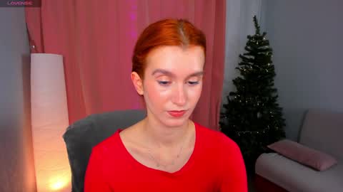 Snapshot of sallybiscuit chatting on December 5, 2024, 10:33 am Sally online show from December 5, 2024, 10:33 am