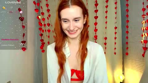 Snapshot of sallybiscuit chatting on February 15, 2025, 1:38 pm Sally online show from February 15, 2025, 1:38 pm