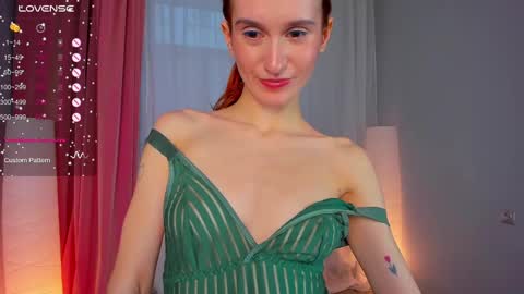 Snapshot of sallybiscuit chatting on February 21, 2025, 1:33 pm Sally online show from February 21, 2025, 1:33 pm