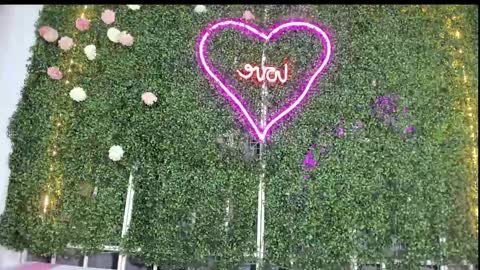 Snapshot of salome_domi chatting on January 25, 2025, 10:50 pm salome online show from January 25, 2025, 10:50 pm