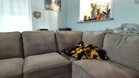 Snapshot of saltycaptain69_hatgirl69 chatting on September 19, 2025, 9:37 pm Salty Captain 69 Hat Girl 69 online show from September 19, 2025, 9:37 pm