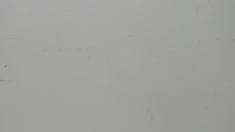 Snapshot of salvatore_damore chatting on February 5, 2025, 11:23 am SALVATORE online show from February 5, 2025, 11:23 am