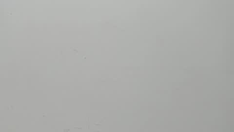 Snapshot of salvatore_damore chatting on February 6, 2025, 11:10 am SALVATORE online show from February 6, 2025, 11:10 am