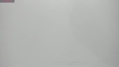 Snapshot of salvatore_damore chatting on February 14, 2025, 11:10 am SALVATORE online show from February 14, 2025, 11:10 am