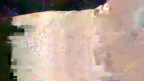 sam5554401727 online show from February 25, 2026, 6:28 pm