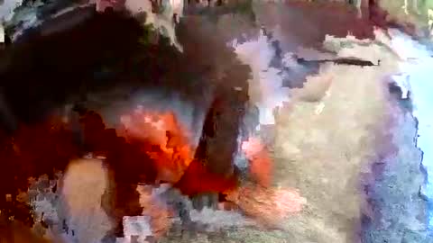 sam681820 online show from November 24, 2025, 4:12 am