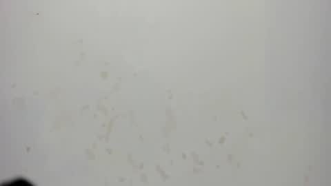 Snapshot of sam_naughty18 chatting on July 18, 2026, 2:38 am sam_naughty18 online show from July 18, 2026, 2:38 am